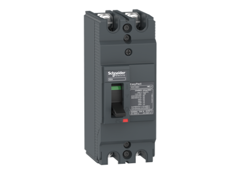 INTERRUPTOR AUTOMATICO, EZC, 2 POLOS 60A 480VCA, 18KA, SIN TERMINALES